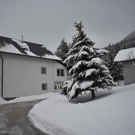 Apartman Apartmani Vila *