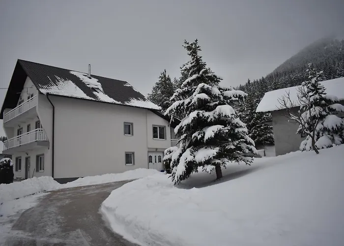 公寓 Apartmani Vila *